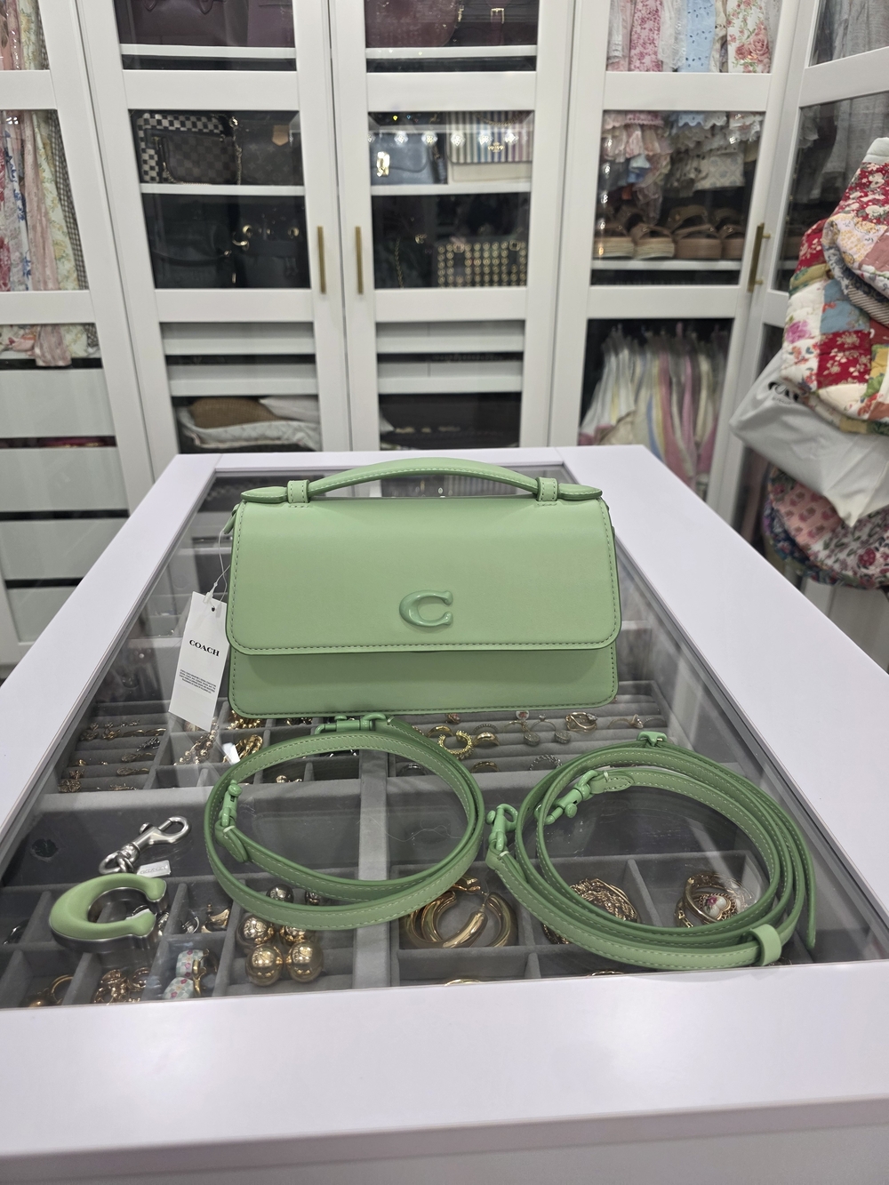 NWT Coach Juno Bag - Pale Pistachio (Pistachio C Bag Charm Included FREE!)